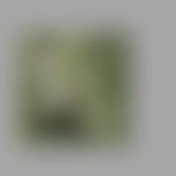 Avatar for Ronna Jenkins