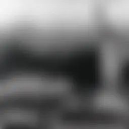 Avatar for Artist 483