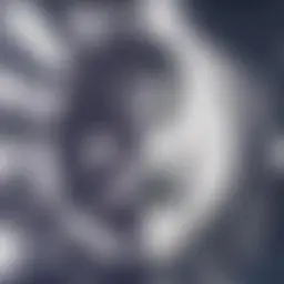 Avatar for Artist 208