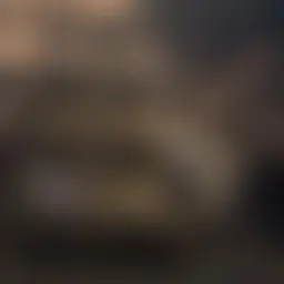 Avatar for Artist 619