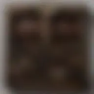 Avatar for Artist 260