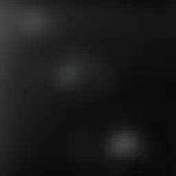 Avatar for Artist 513