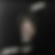 Avatar for Artist 434