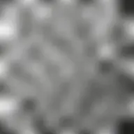 Avatar for Artist 676