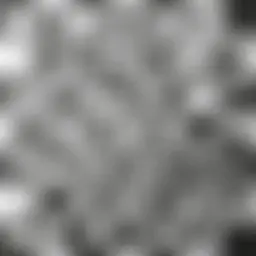Avatar for Artist 676