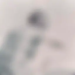 Avatar for Artist 025