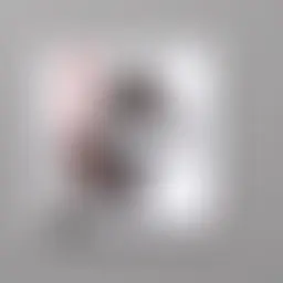 Avatar for Shan Boyer