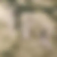 Avatar for Artist 143