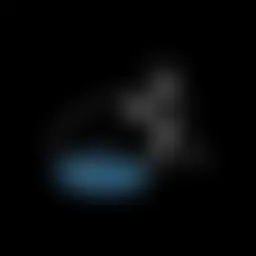 Avatar for Artist 602