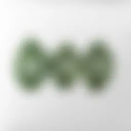 Avatar for Artist 355