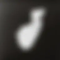 Avatar for Artist 360