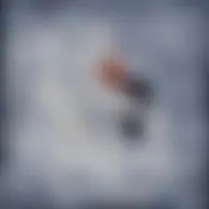 Avatar for Artist 213