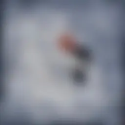 Avatar for Artist 213