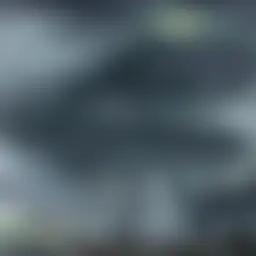 Avatar for Artist 051