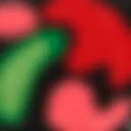 Avatar for Artist 476