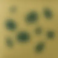 Avatar for Artist 353