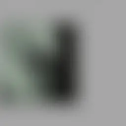 Avatar for Siu Tillman