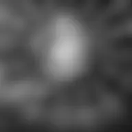 Avatar for Artist 022