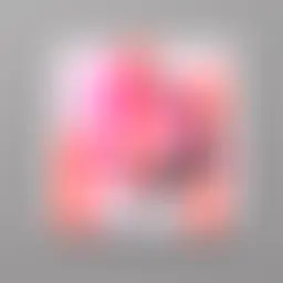 Avatar for Danita O'Conner