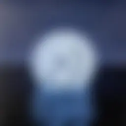 Avatar for Artist 623