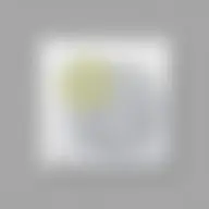 Avatar for Monet Schiller