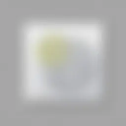 Avatar for Monet Schiller