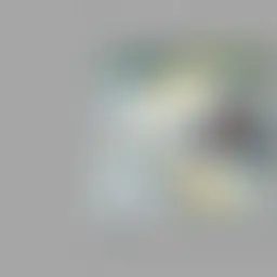 Avatar for Elissa Vandervort