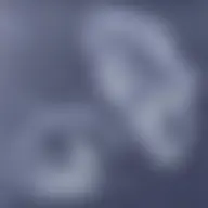 Avatar for Artist 488