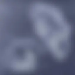Avatar for Artist 488
