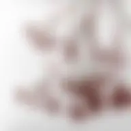 Avatar for Artist 293