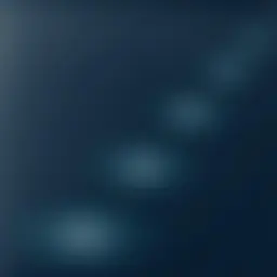 Avatar for Artist 247