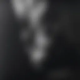 Avatar for Artist 350