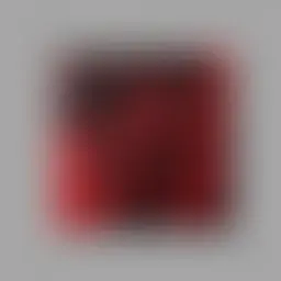 Avatar for Nicky Kassulke