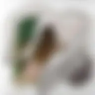 Avatar for Artist 209