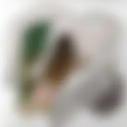 Avatar for Artist 209