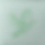 Avatar for Artist 281