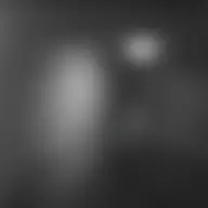 Avatar for Artist 068