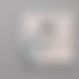 Avatar for Xiao Rowe