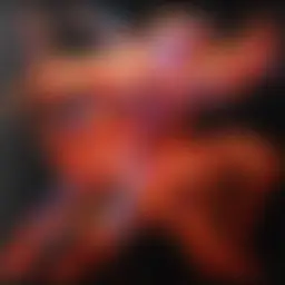 Avatar for Artist 172