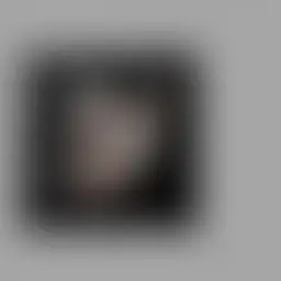 Avatar for Refugia Ernser