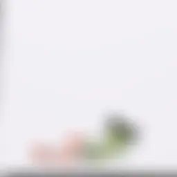 Avatar for Artist 070