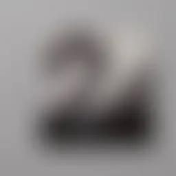 Avatar for Artist 004