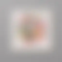 Avatar for Lacie Schmeler