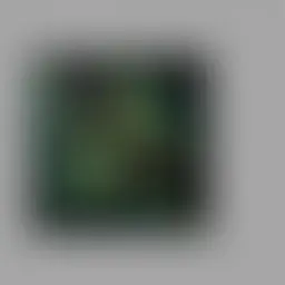 Avatar for Cathey Hettinger