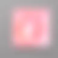 Avatar for Shon Wisozk