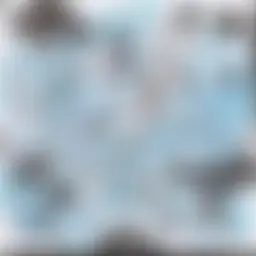 Avatar for Artist 502