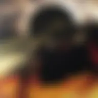 Avatar for Artist 638