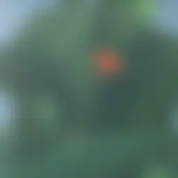 Avatar for Artist 407