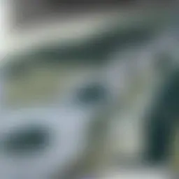Avatar for Artist 153