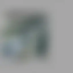 Avatar for Neil Stehr